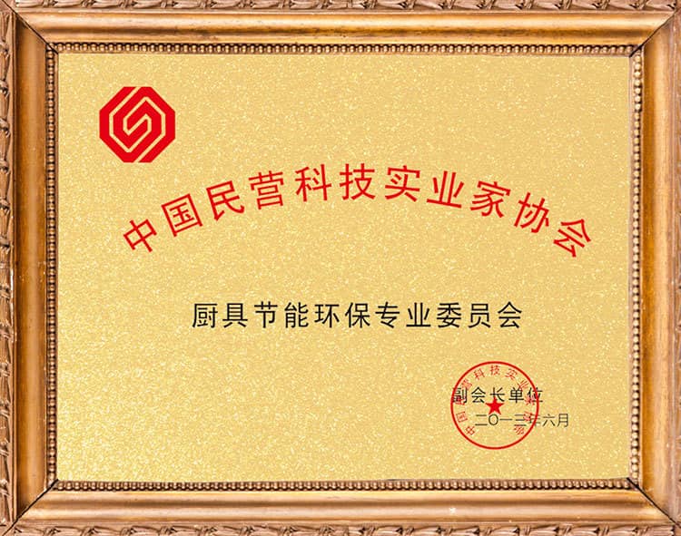 中國民營科技實(shí)業(yè)家