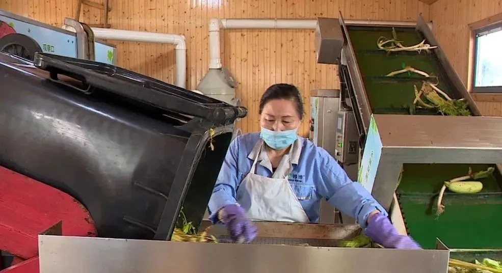 1-200H014595E42.jpg 1-200H014595E42.jpg